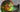 Keio University Scientists Decode the Secret Behind Ammolite’s Dazzling Colors