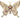 Smithsonian Butterfly Highlights Rare Natural Pearls From the Sea of Cortez