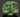 Most Coveted Demantoid Garnets From Russia Have These Telltale Inclusions