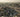 Buried Treasure: Why Your Local Landfill May Be Richer Than a Gold Mine